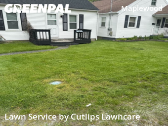 Lawn Maintenance nearby Springfield, OH, 
