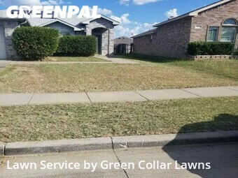 Grass Cut nearby Arlington, TX, 