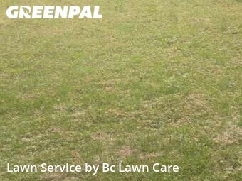Lawn Cutting nearby Wake Forest, NC, 