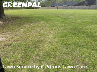 Lawn Cut nearby Livingston, LA, 