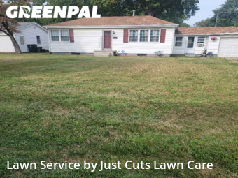 Lawn Cutting nearby Belleville, IL, 