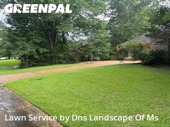 Grass Cut nearby Jackson, MS, 