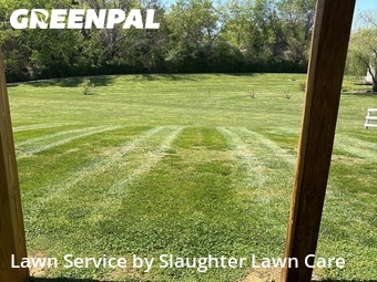 Lawn Mowing Service nearby Powell, TN, 