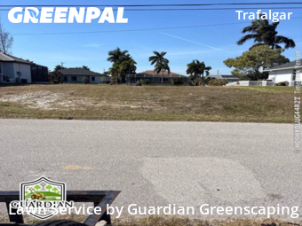 Landscaping Renovation In Cape Coral,33991,Landscaping Services by Guardian Greenscaping, work completed in Jan , 2026