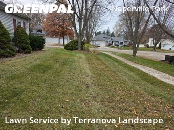 Grass Cut nearby Naperville, IL, 