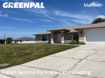 Grass Cut nearby Cape Coral, FL, 