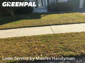 Yard Mowing nearby Millsboro, MD, 