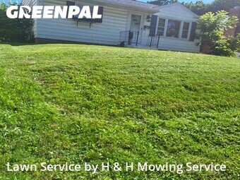Lawn Cut nearby Saint Ann, MO, 