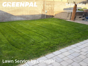 Yard Management in Gilbert, 85295, Yard Care Services by Lawnpal, work completed in Dec , 2025