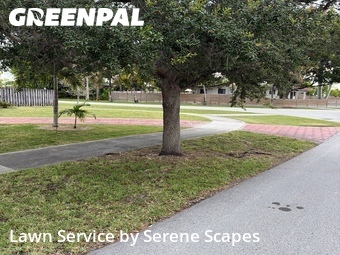 Lawn mowed in Cutler Bay, 33189