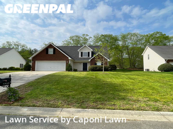 Yard Cutting nearby Indian Trail, NC, 