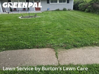 Lawn Care nearby Youngstown, PA, 