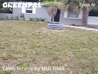 Grass Cut nearby Tampa, FL, 
