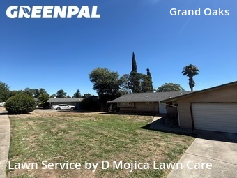 Grass Cut nearby Citrus Heights, CA, 
