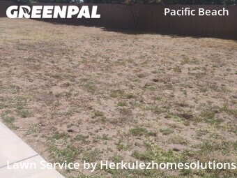 Lawn Care Service nearby San Diego, CA, 