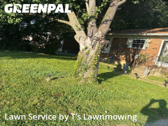 Yard Cutting nearby Louisville, KY, 
