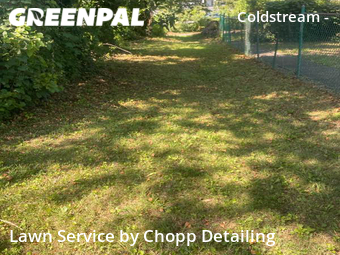 Lawn Care Service nearby Baltimore, MD, 