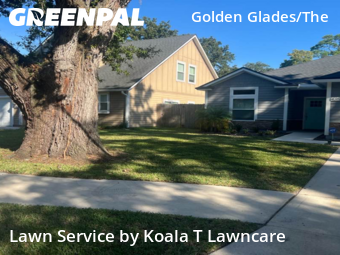Grass Cut nearby Jacksonville, FL, 