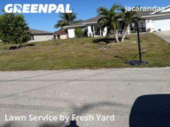 Lawn Cut nearby Cape Coral, FL, 