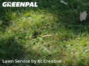 Lawn Cutting nearby Lee's Summit, MO, 