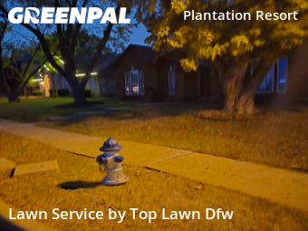 Affordable Landscaping Maintenance Services In Frisco,75035,Landscaping by Top Lawn Dfw, work completed in Dec , 2025