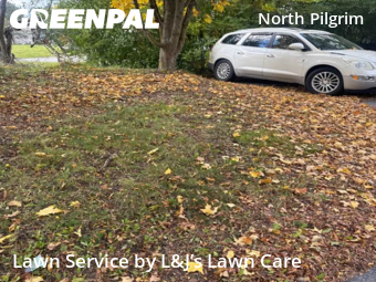 Yard Care Services in Elm Grove, 53122, Yard Maintenance by L&J’s Lawn Care , work completed in Dec , 2025