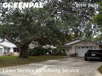 Landscaping Cleanup In Orlando,32812,Landscaping by Infinity Service , work completed in Jun , 2026