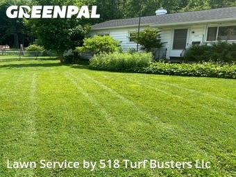 Lawn mowed in Utica, 13502