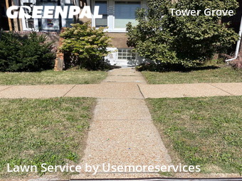 Yard Cutting nearby St. Louis, MO, 