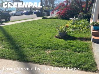 Lawn Cutting nearby San Bernardino, CA, 