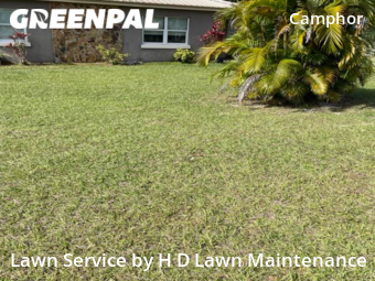 Lawn Mowing nearby Lakeland, FL, 