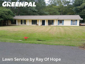 Yard Cutting nearby Northport, AL, 