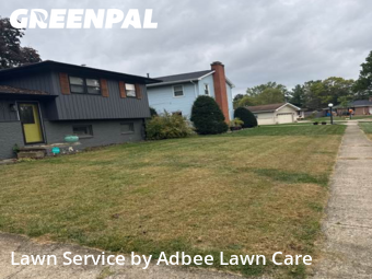Yard Grooming in Urbana, 61802, Yard Services by Adbee Lawn Care, work completed in Nov , 2025