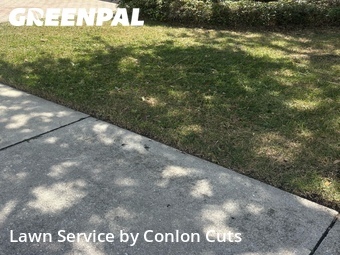 Lawn Mowing Service nearby Palmetto, FL, 