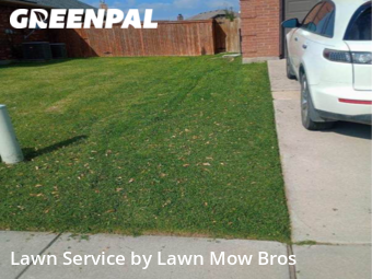 Grass Cut nearby Watauga, TX, 