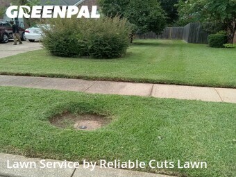 Lawn Care Service nearby Bossier City, LA, 