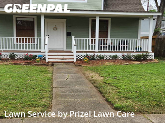 Grass Cut nearby Houston, TX, 