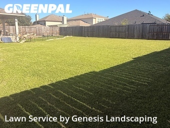 Lawn Care nearby Conroe, TX, 