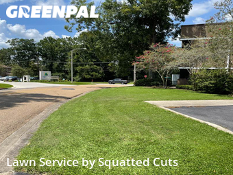 Lawn Cutting nearby Lafayette, LA, 