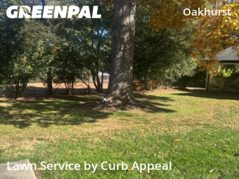 Lawn Mowingin Charlotte,28205,Lawn Maintenance by Curb Appeal, work completed in Nov , 2025