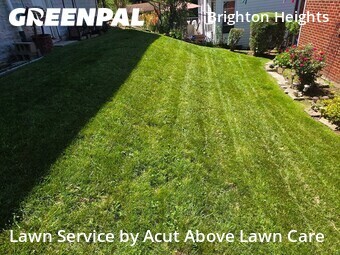 Grass Cut nearby Pittsburgh, PA, 