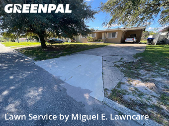 Grass Cut nearby Orlando, FL, 