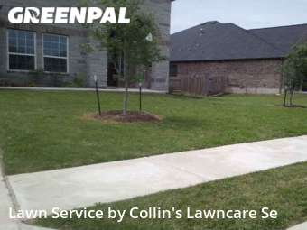 Lawn Care nearby Mustang Ridge, TX, 