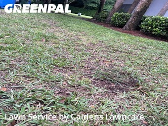 Yard Cutting in Cooper City, 33328, Landscaping Maintenance by Caidens Lawncare , work completed in Oct , 2025