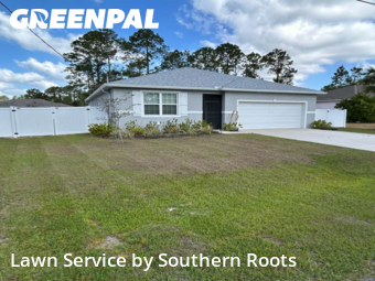 Lawn Cut nearby Palm Coast, FL, 