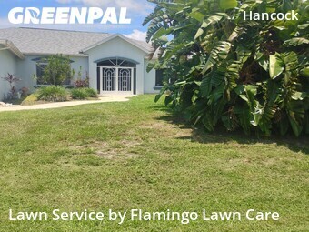 Lawn mowed in Cape Coral, 33990