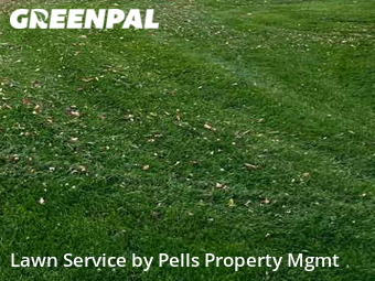 Yard Mowing nearby Ann Arbor, MI, 