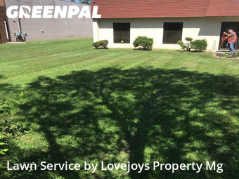 Grass Cut nearby Westland, MI, 