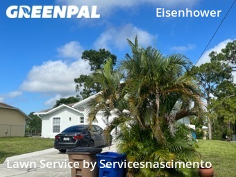 Lawn Mow nearby Lehigh Acres, VA, 