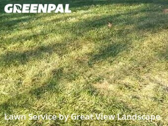 Lawn Cutting nearby Glen Burnie, MD, 